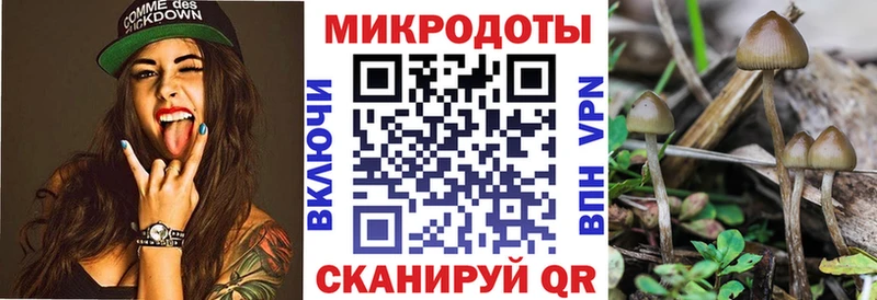 Галлюциногенные грибы Magic Shrooms  Мирный 