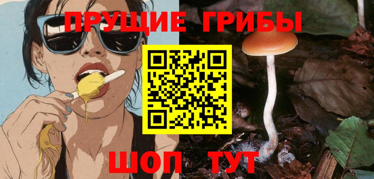 Мирный  Псилоцибиновые грибы прущие грибы  продажа наркотиков  Вход с VPN 