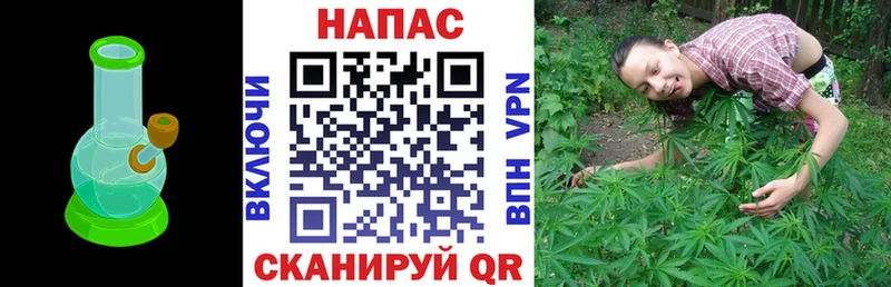 Шишки марихуана марихуана Мирный