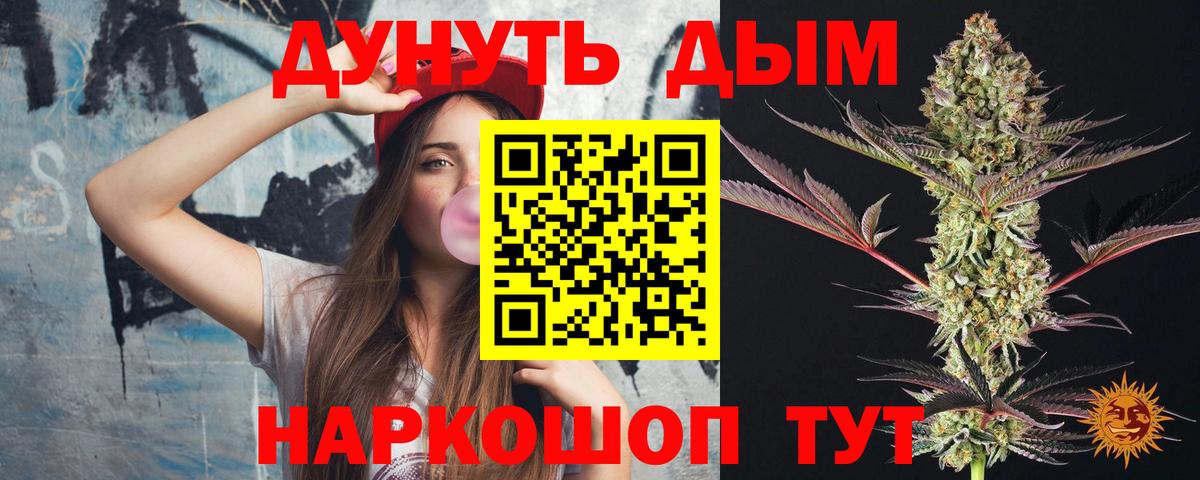 Бошки Шишки конопля Мирный